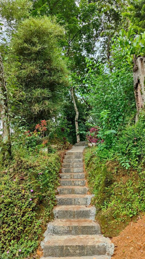 Pepper County Farm Stay Munnar Kültér fotó