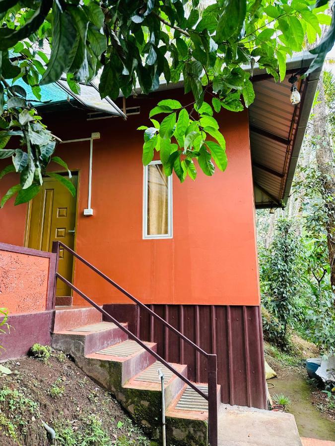 Pepper County Farm Stay Munnar Kültér fotó