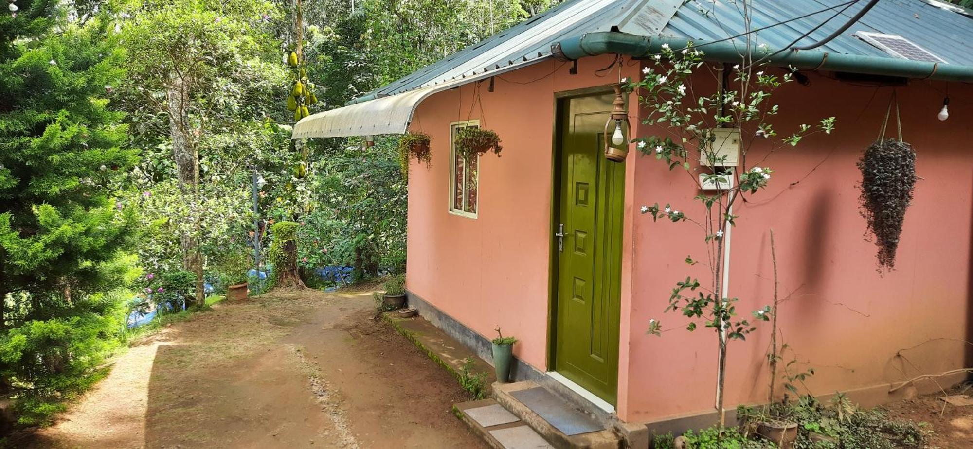 Pepper County Farm Stay Munnar Szoba fotó