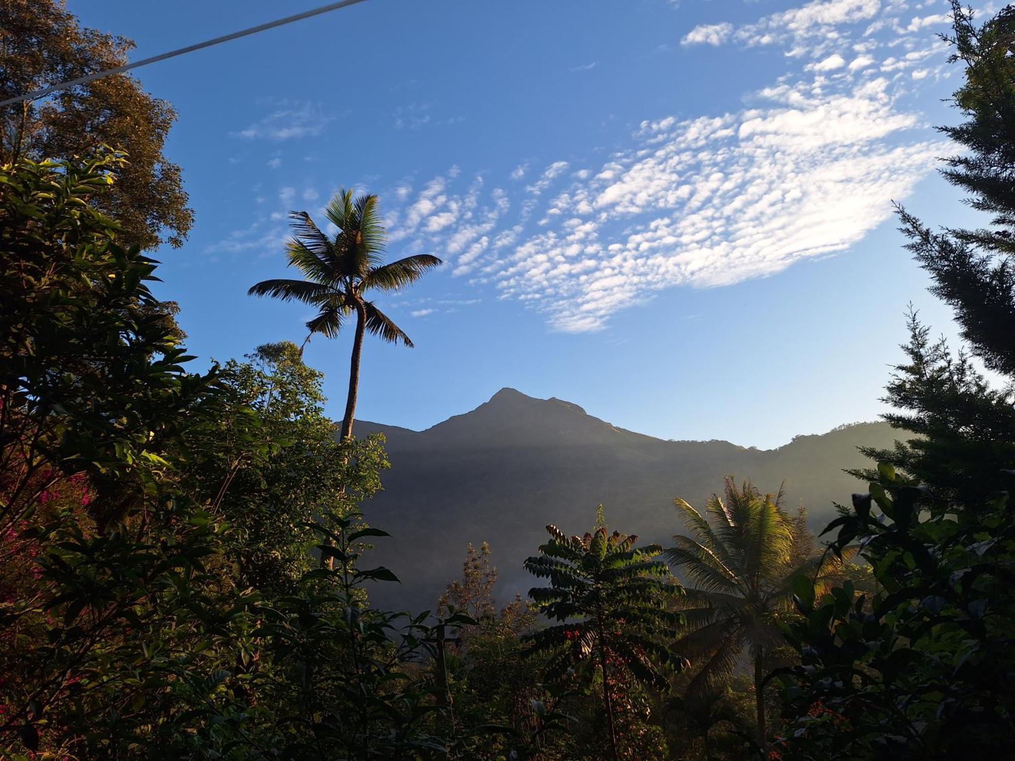 Pepper County Farm Stay Munnar Kültér fotó