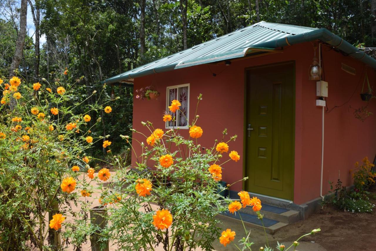 Pepper County Farm Stay Munnar Kültér fotó