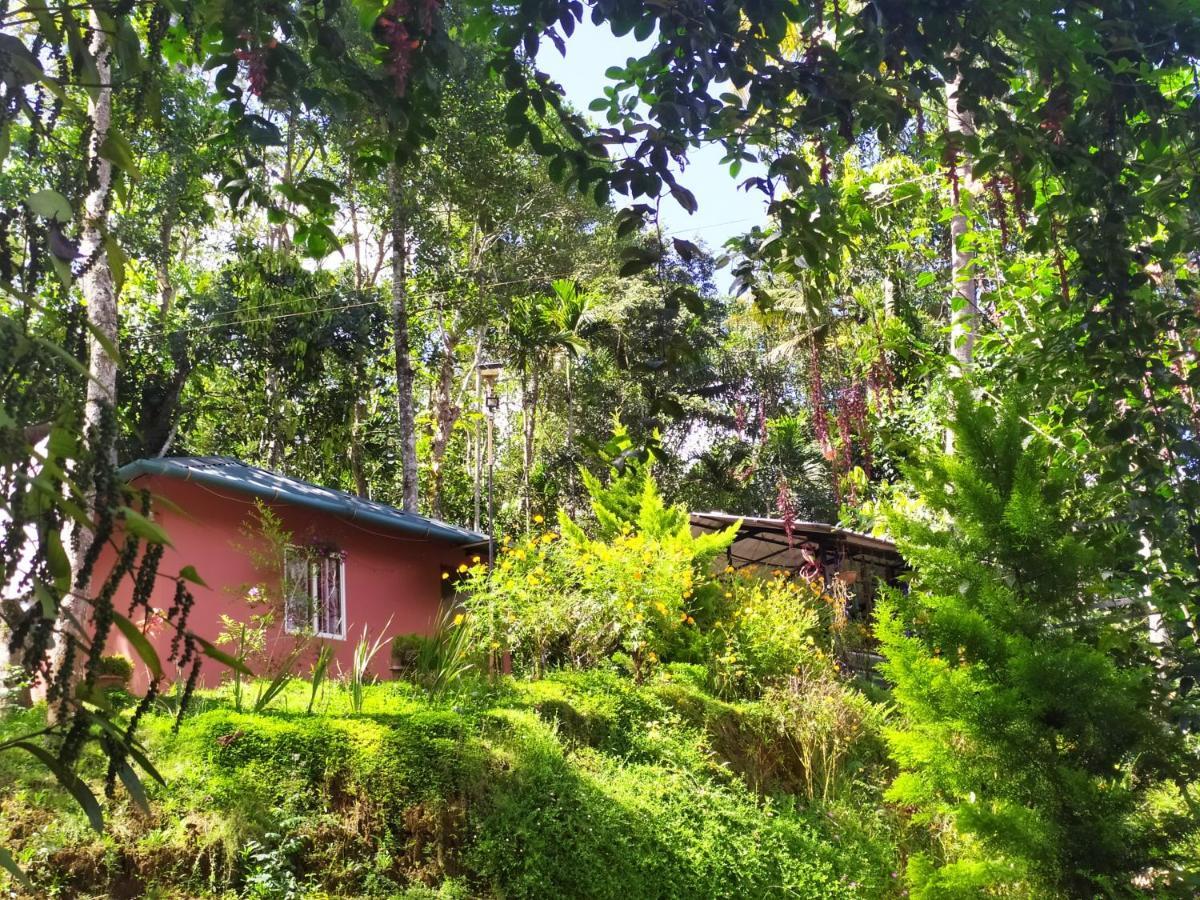 Pepper County Farm Stay Munnar Kültér fotó