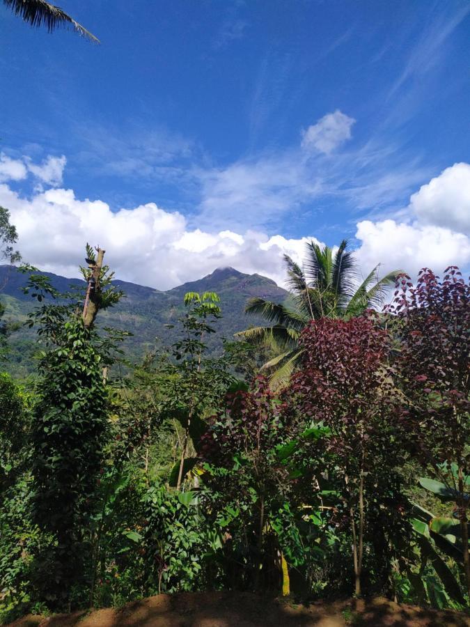 Pepper County Farm Stay Munnar Kültér fotó